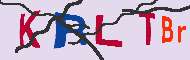 Code Captcha