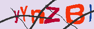 Code Captcha
