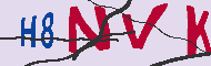 Code Captcha